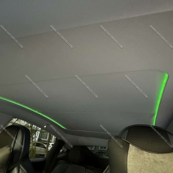 גג פנורמי טסלה